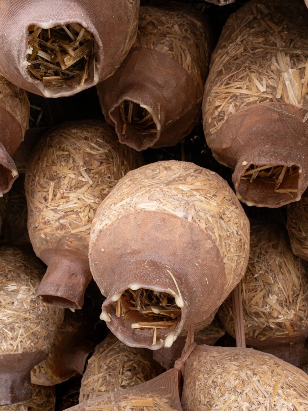 Detail of the clustered forms, hollow vessels packed mouth-outward