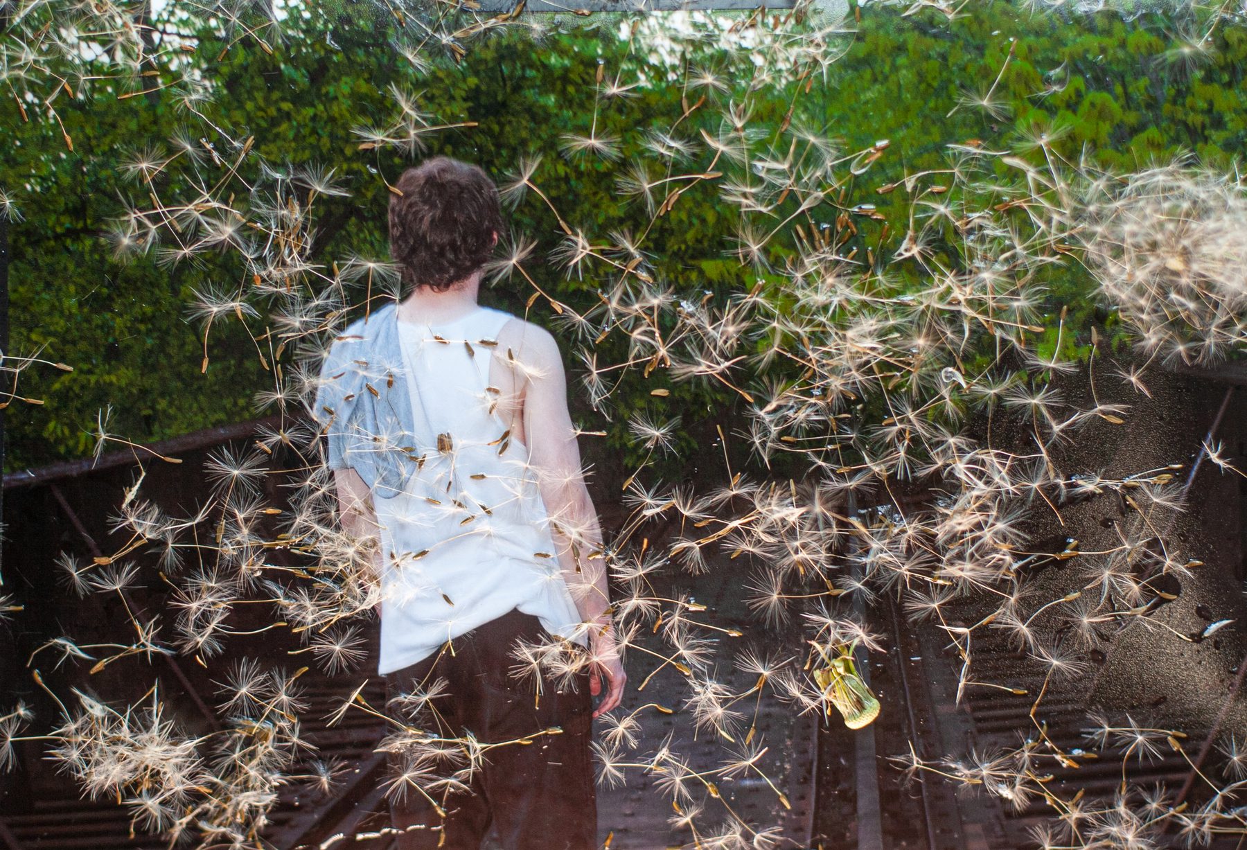 Figure in a white shirt standing among tall grass and dandelion seed heads